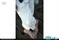 Product Alternate Image